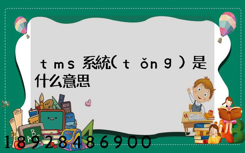 tms系統(tǒng)是什么意思