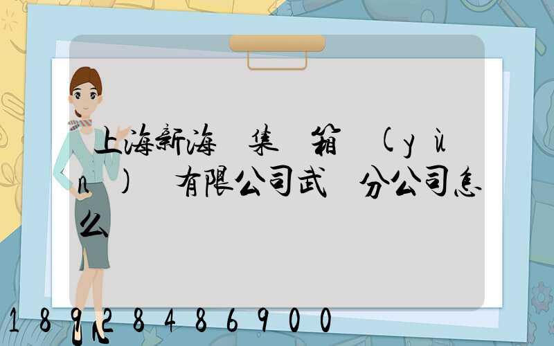 上海新海豐集裝箱運(yùn)輸有限公司武漢分公司怎么樣