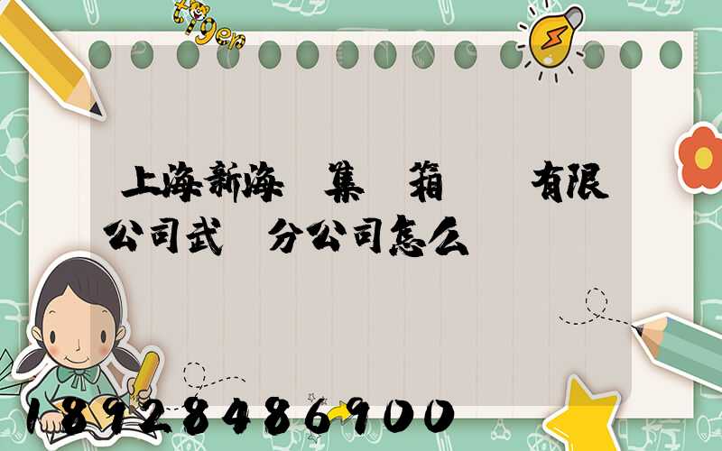 上海新海豐集裝箱運輸有限公司武漢分公司怎么樣