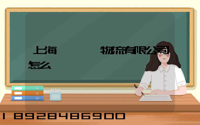 上海蟠龍國際物流有限公司怎么樣