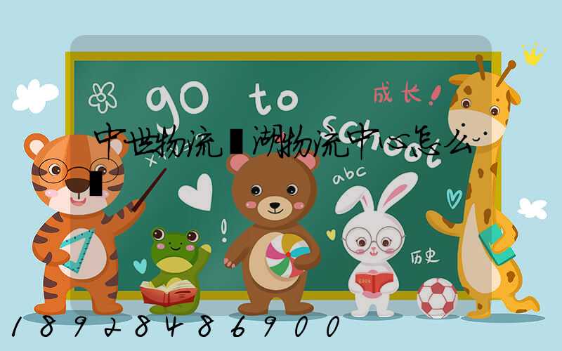 中世物流蕪湖物流中心怎么樣