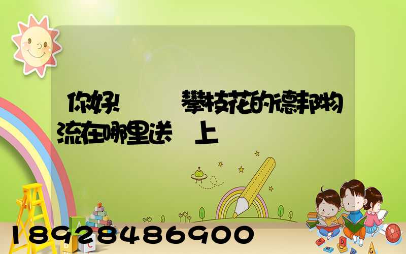 你好!請問攀枝花的德邦物流在哪里送貨上門嗎