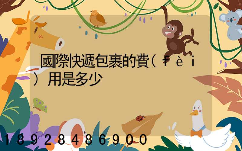 國際快遞包裹的費(fèi)用是多少