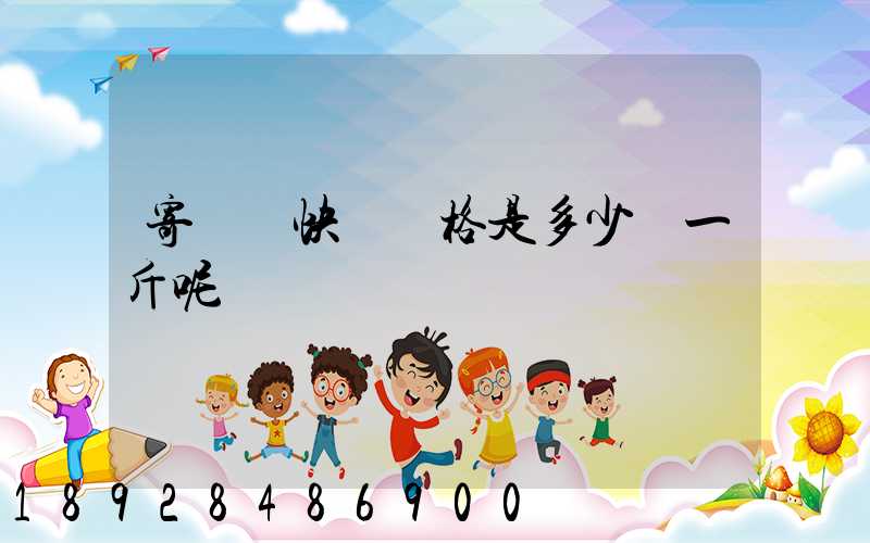 寄國際快遞價格是多少錢一斤呢