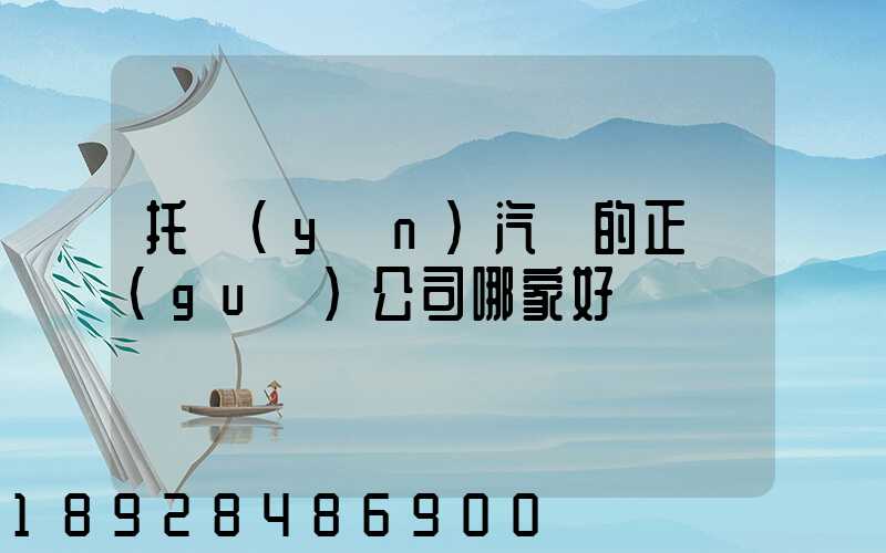 托運(yùn)汽車的正規(guī)公司哪家好