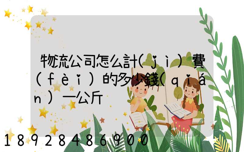 物流公司怎么計(jì)費(fèi)的多少錢(qián)一公斤