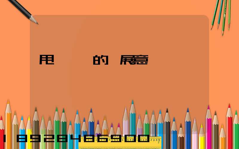 甩掛運輸的發展意義